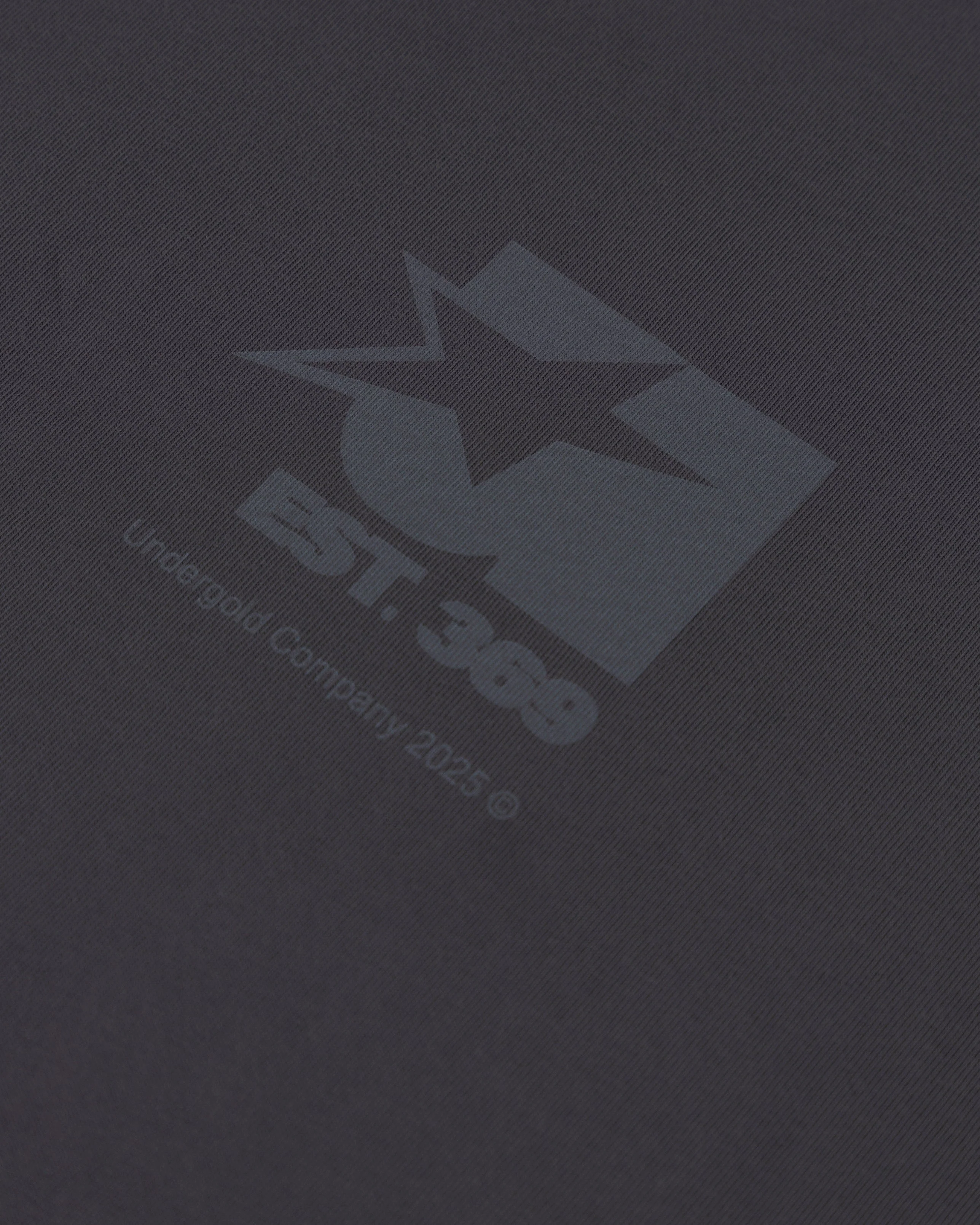 Stardust Symbol Tshirt Gray - Image 6